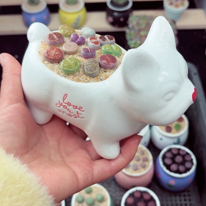 319零下地区记得拍保温箱