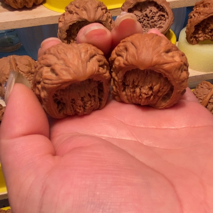 徐**，官方网站发布消息