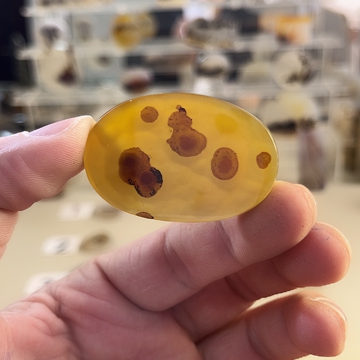 玛瑙/玉髓吊坠(不含链)未镶嵌