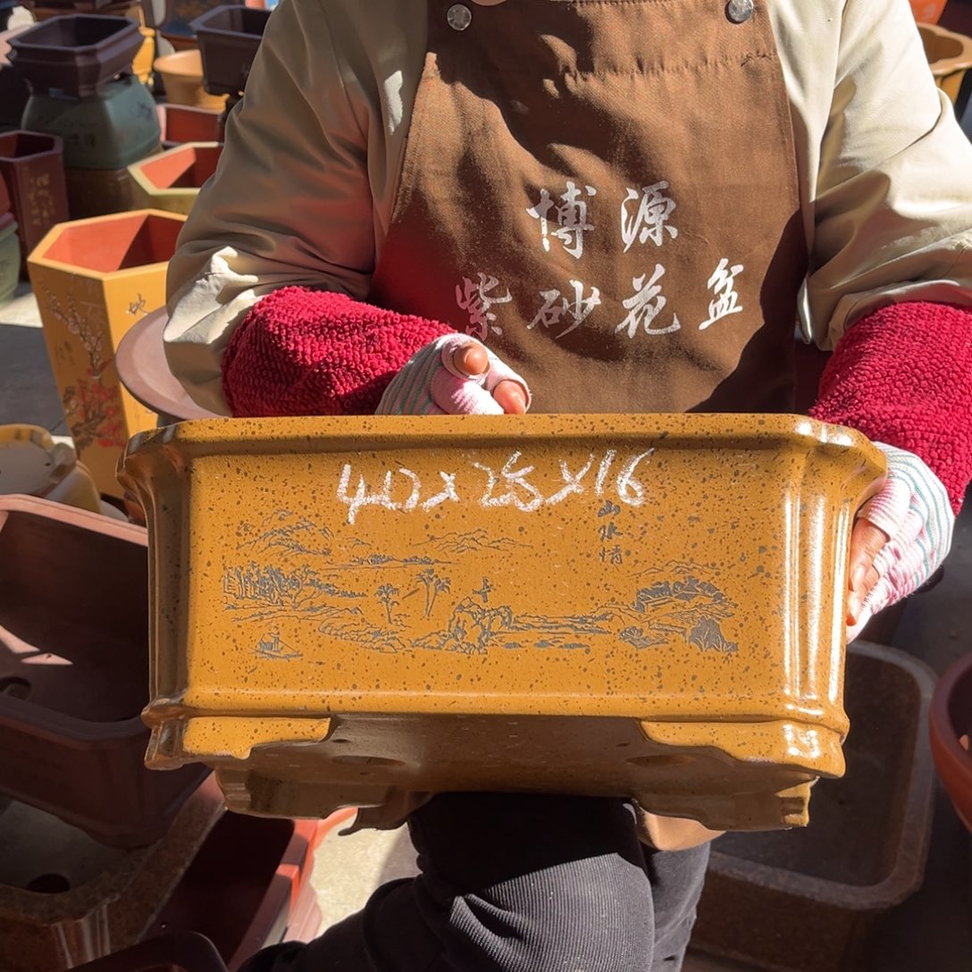 花盆紫砂盆景艺术