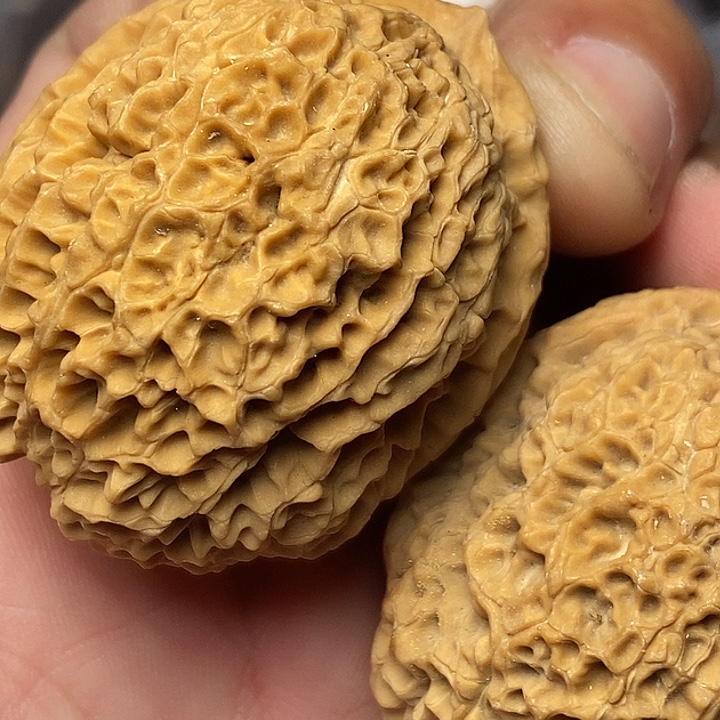 把件文玩核桃云南铁核桃4