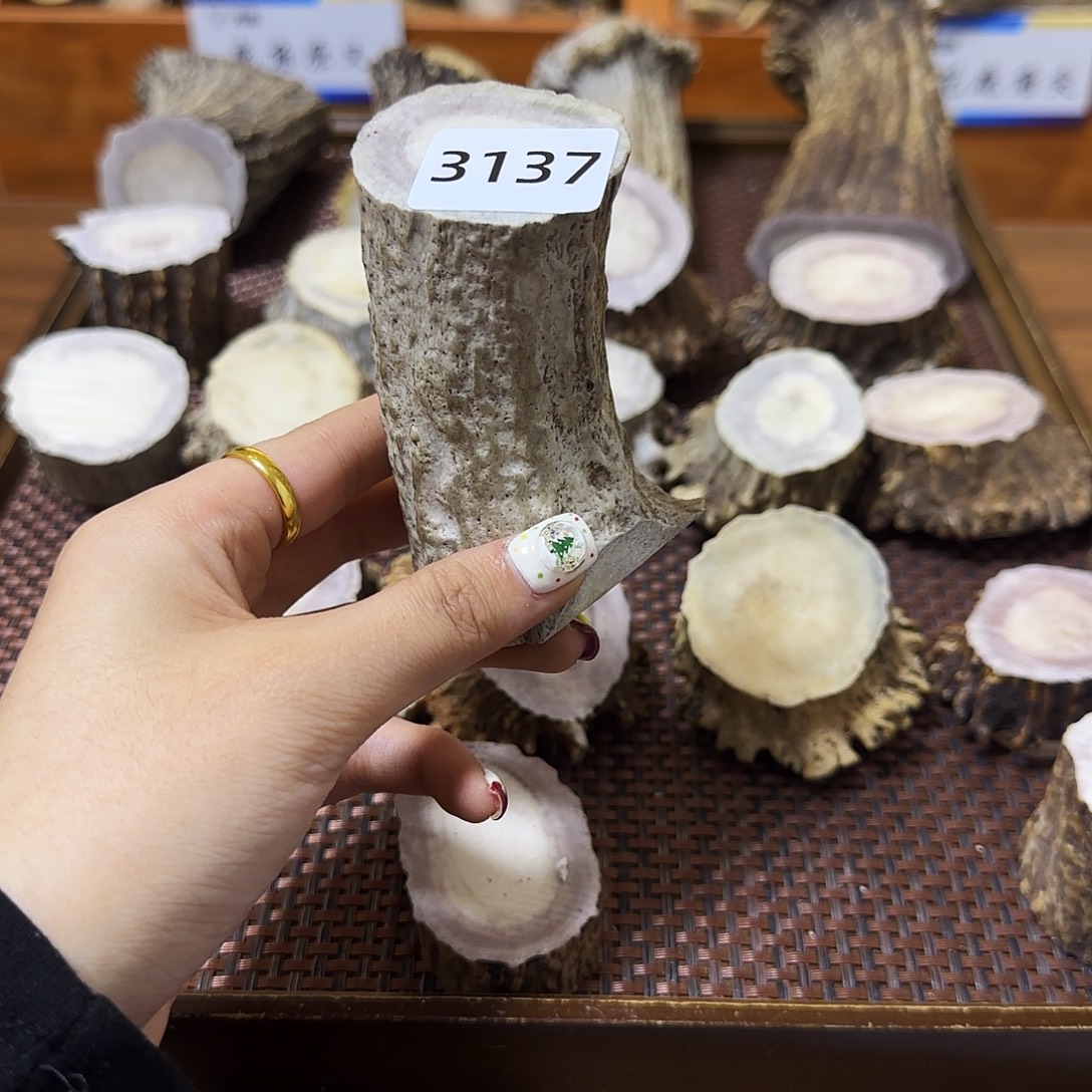 鹿骨手串/手链中段3137