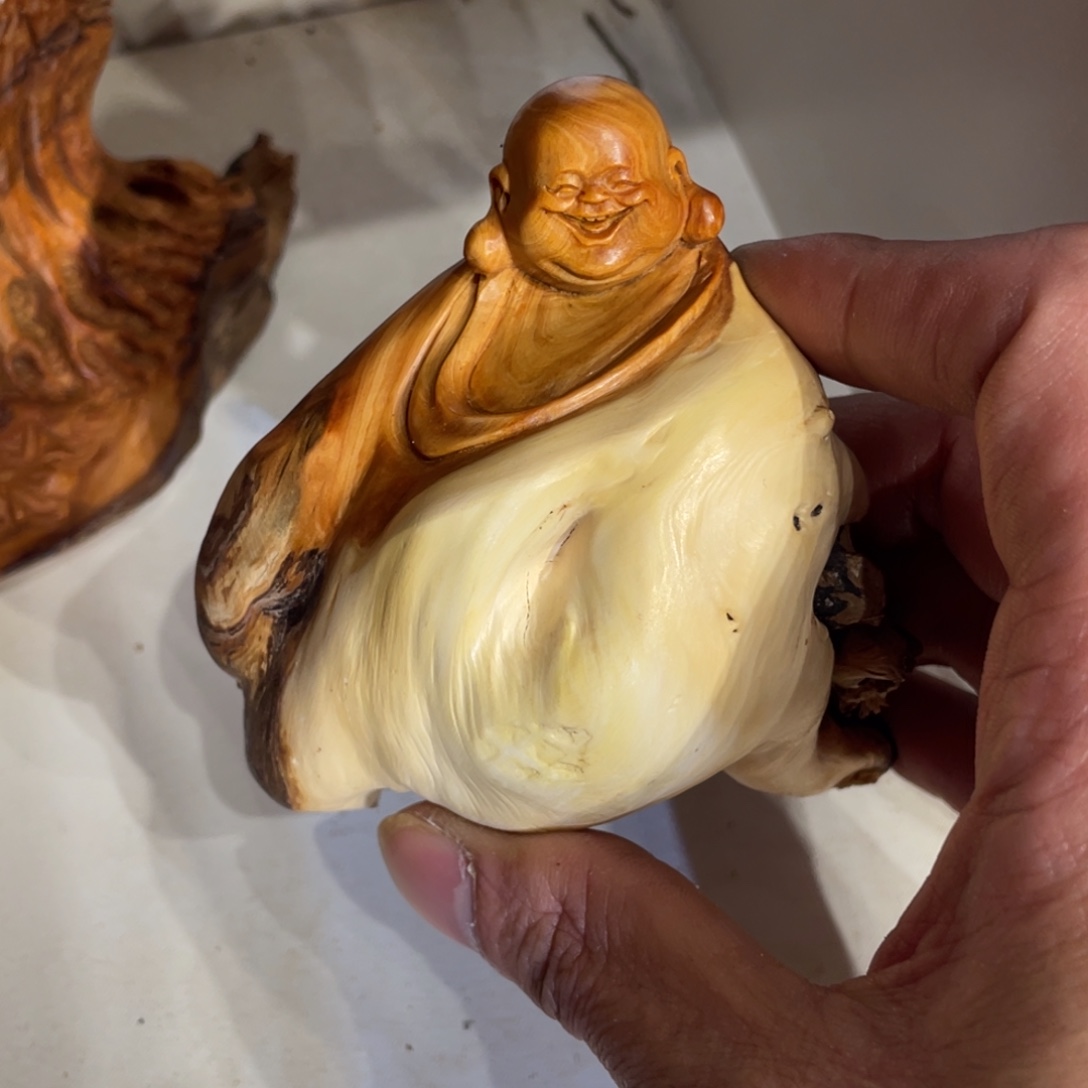 ****子柏木（崖柏）56876987566