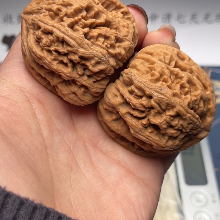 文玩核桃把件粗筋43