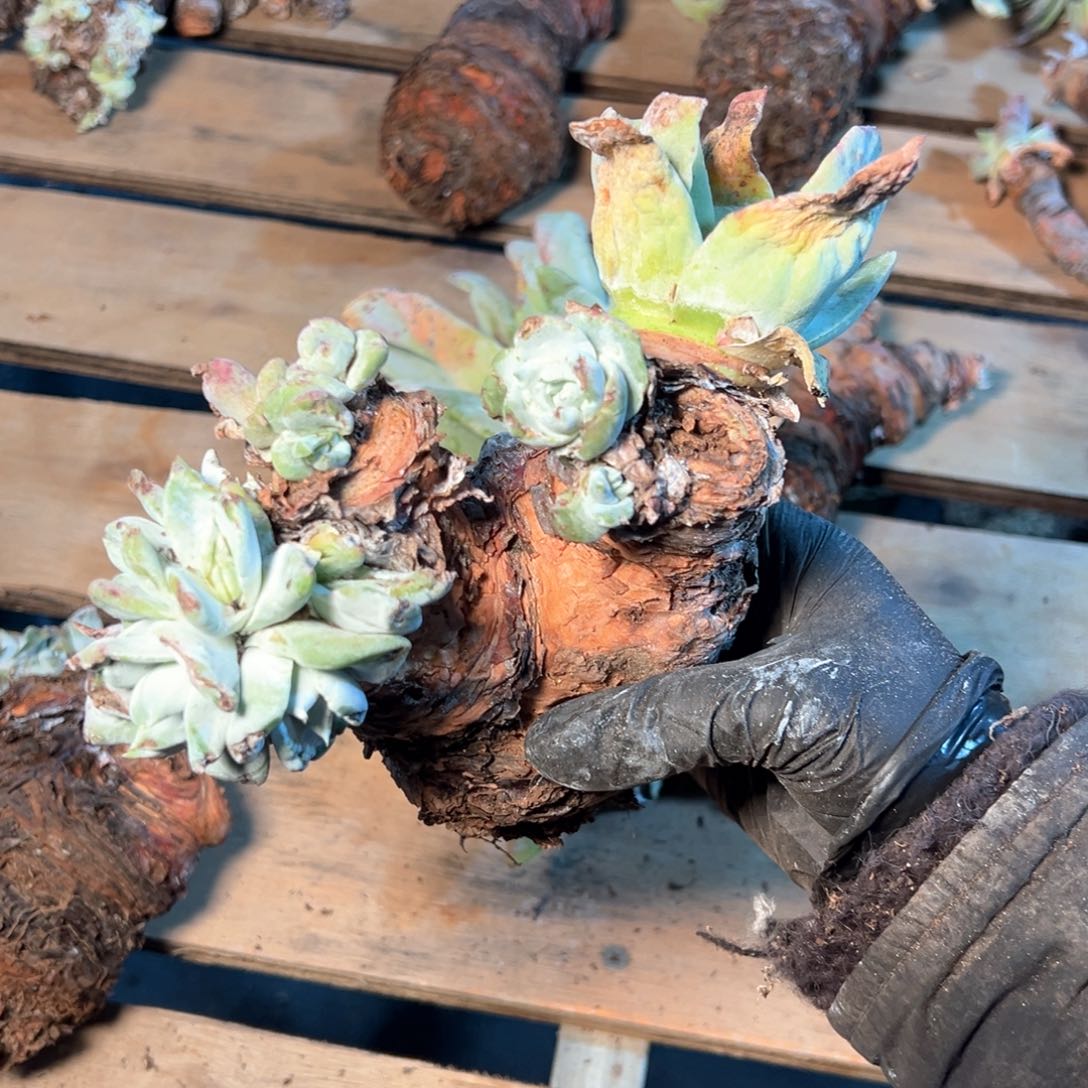 7803哈哈哈哈哈哈哈哈