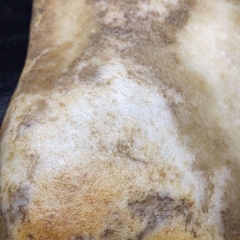 和田玉珠宝奇石未镶嵌平*哥