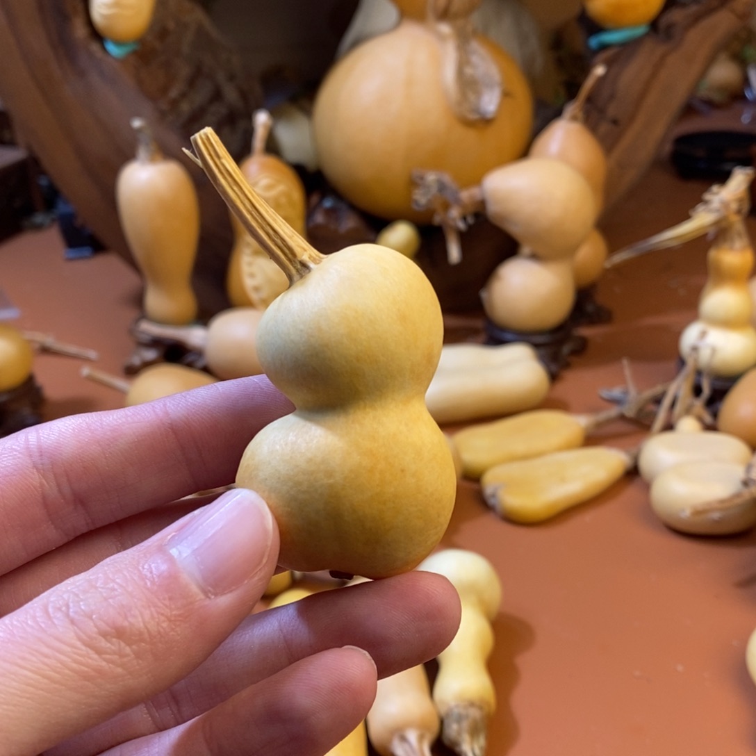 辉***耀教练教练咯教练教练啦