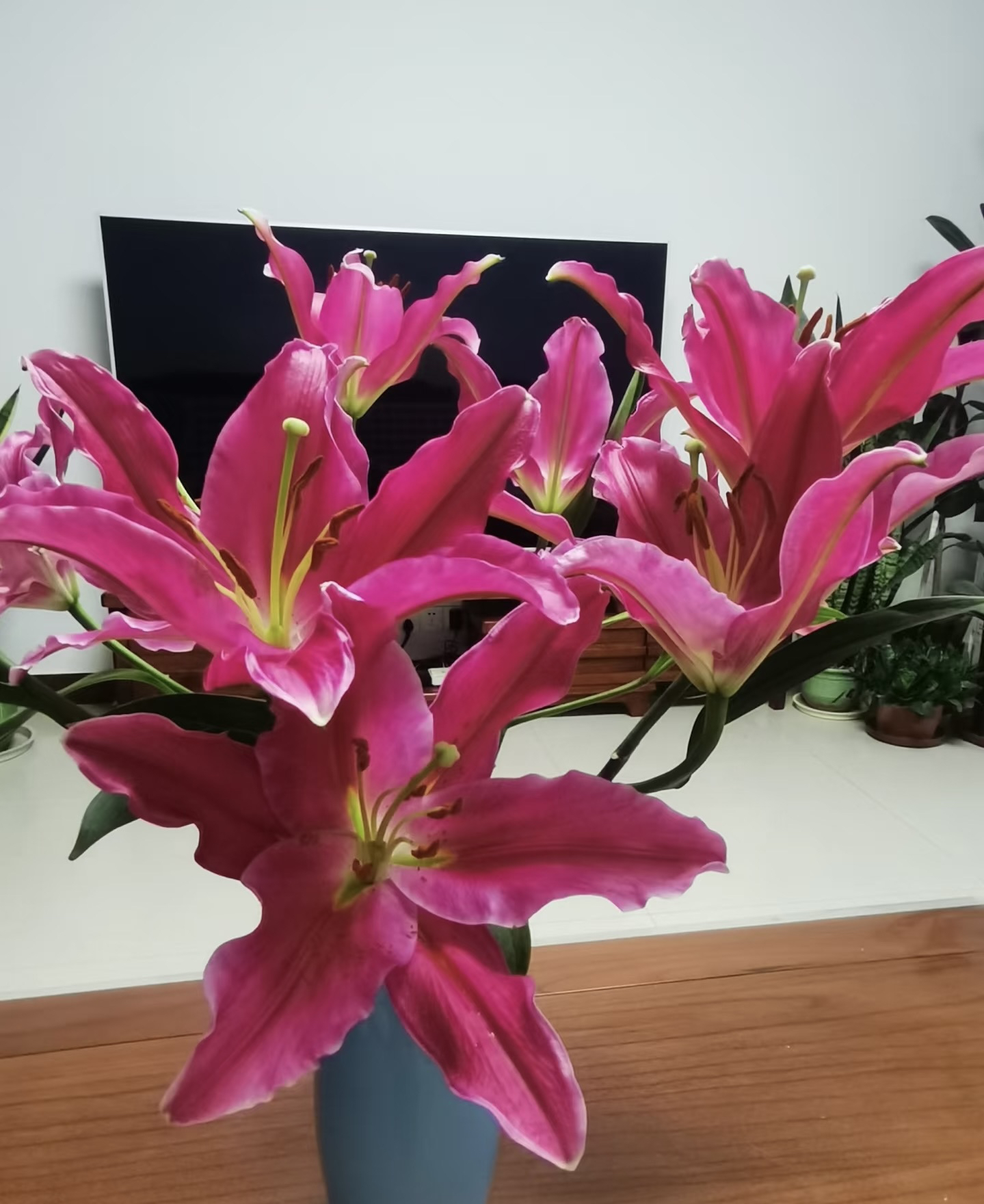 香水百合鲜花束家庭