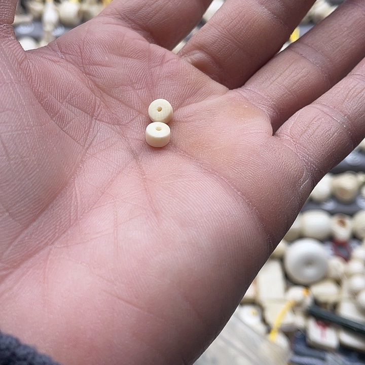 余***學猛犸猛犸隔片隔片