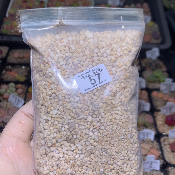 Zzzz精品生石花57麦饭石