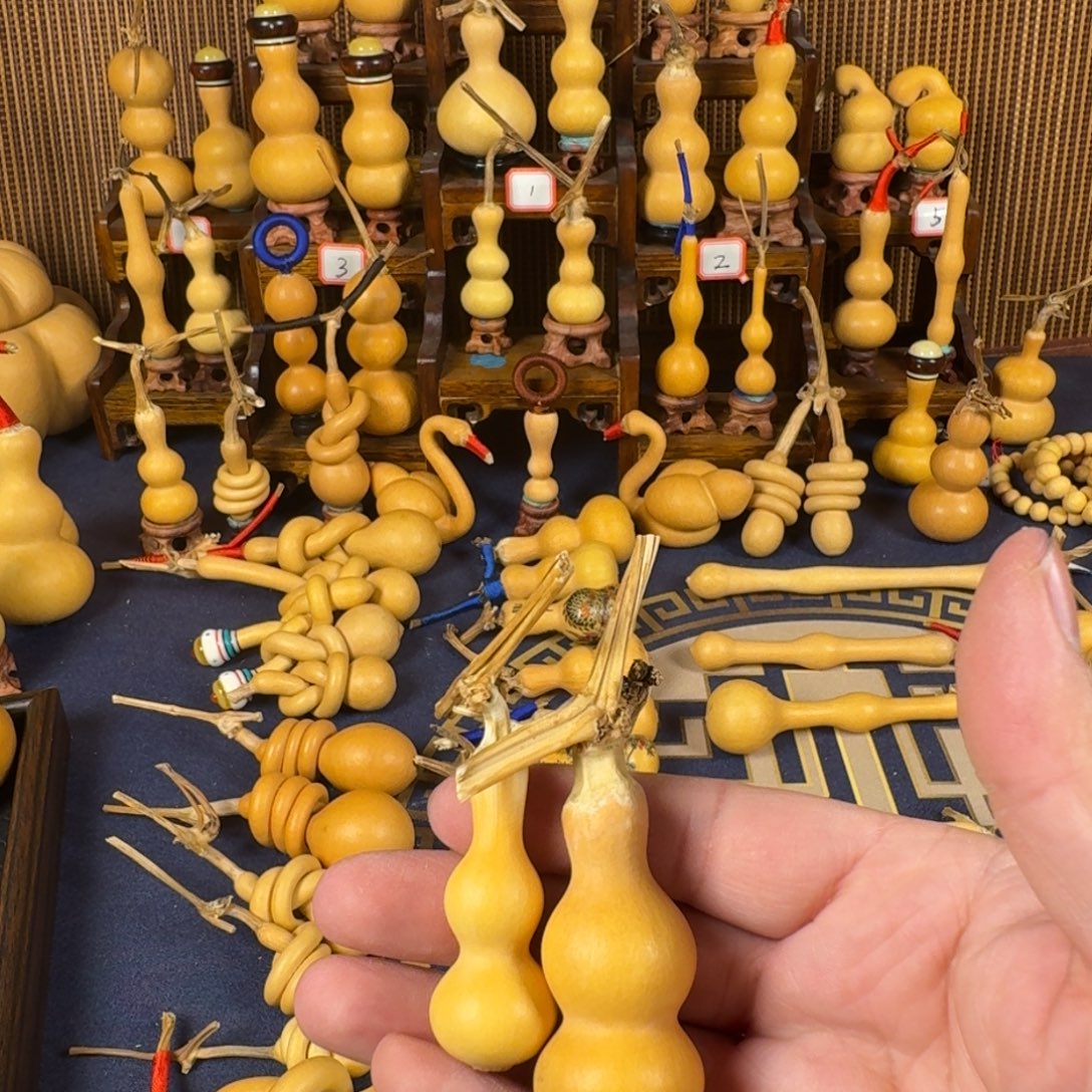 金***月葫芦葫芦葫芦葫芦葫芦