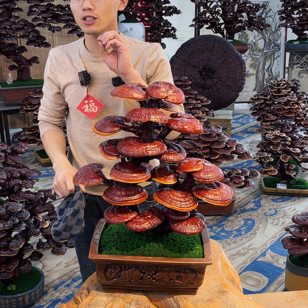 【闪购商品】888888