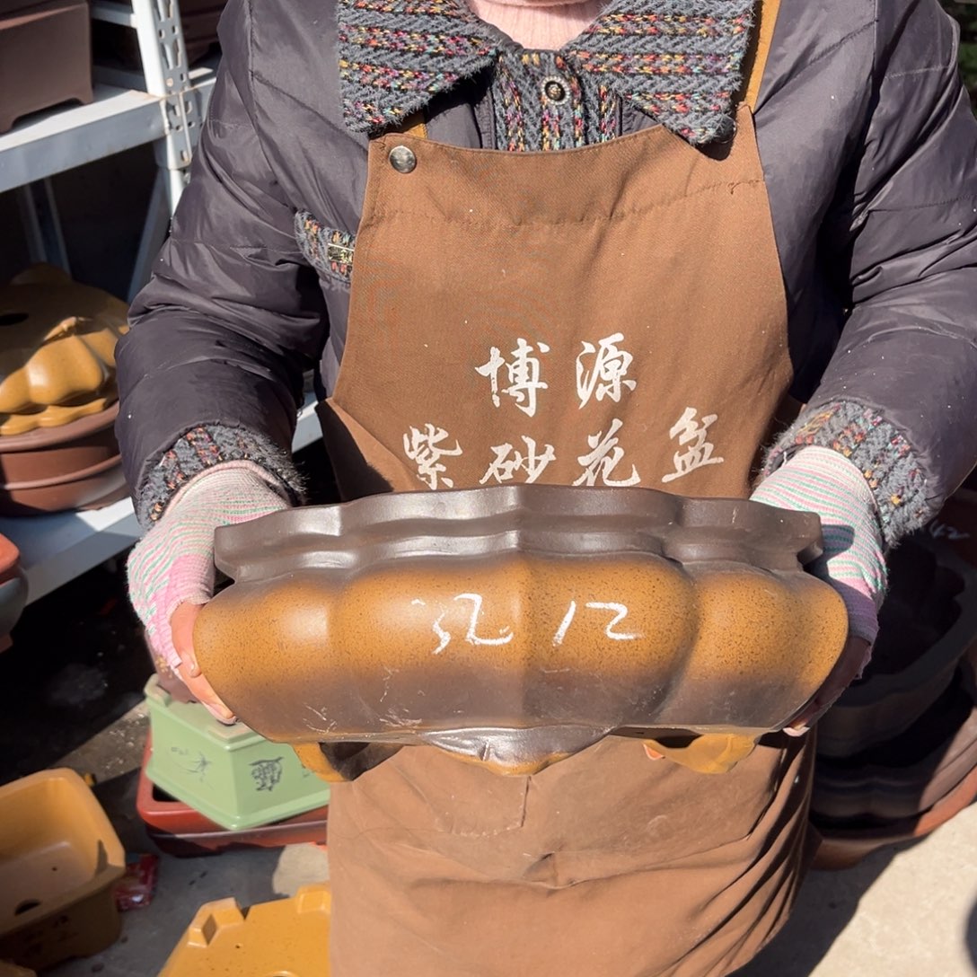 花盆紫砂盆景艺术