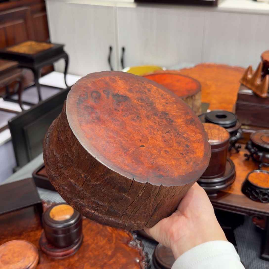 竹***鸟木缅花樱木瘤底座