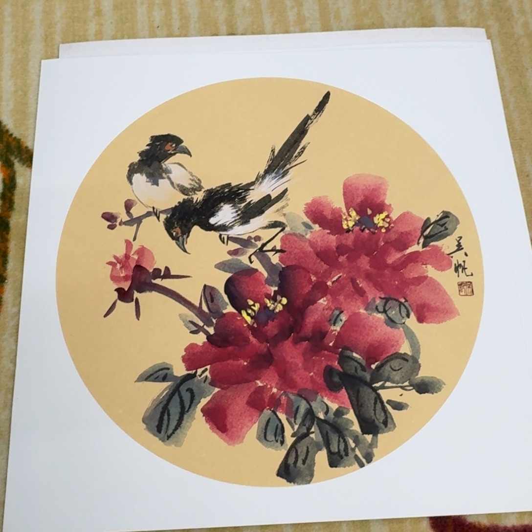 国画38卡纸作品花鸟1111