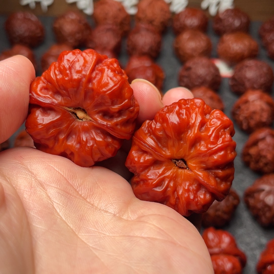 文玩核桃把件侯*席蛤蟆