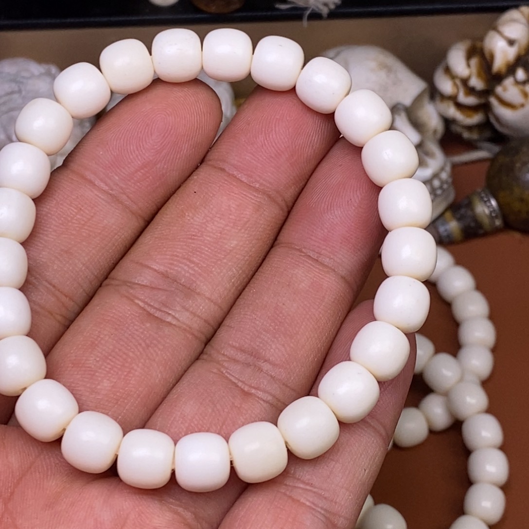 其他驼骨人工样子