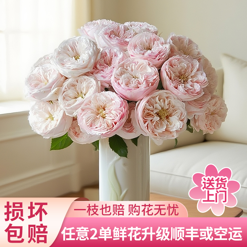 【大聪明卖花】酷皮多头玫瑰全场鲜花任意满两单及以上包邮送货上门