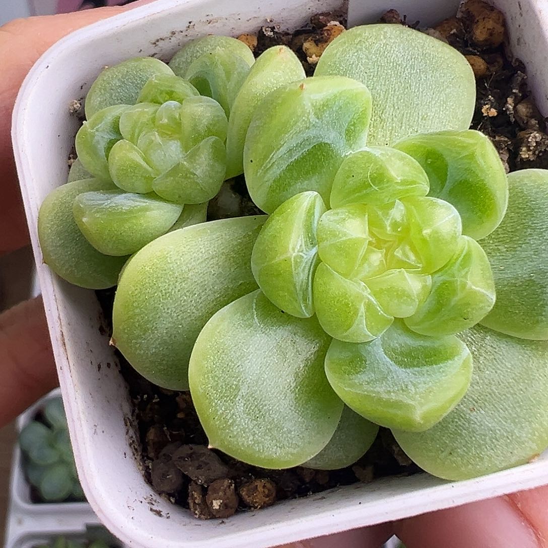 现金财富密码。     