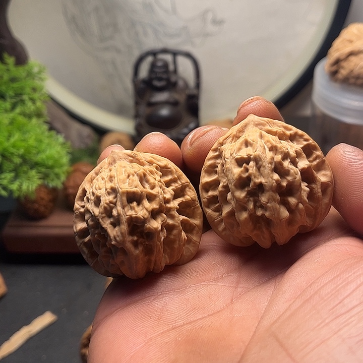 文玩核桃吊坠41盘龙虎