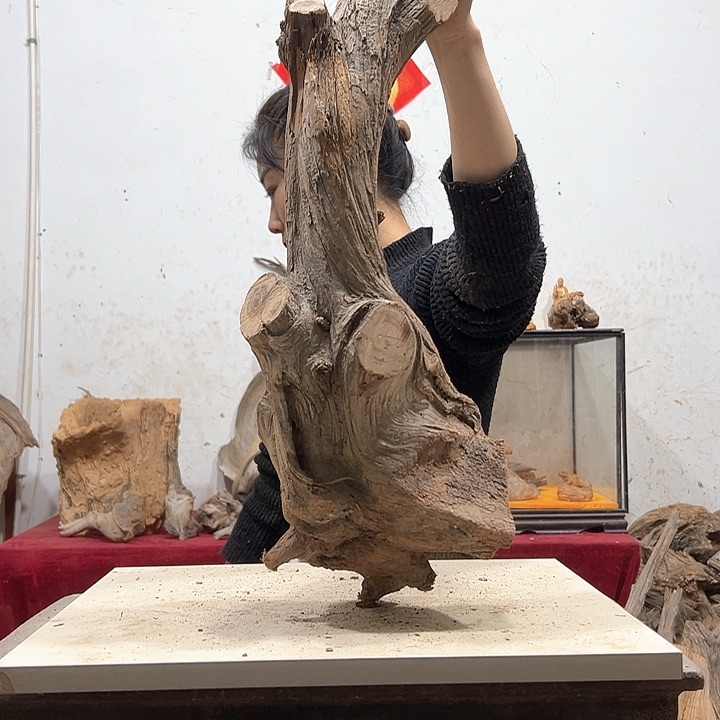 柏木一****龙我们的生活也