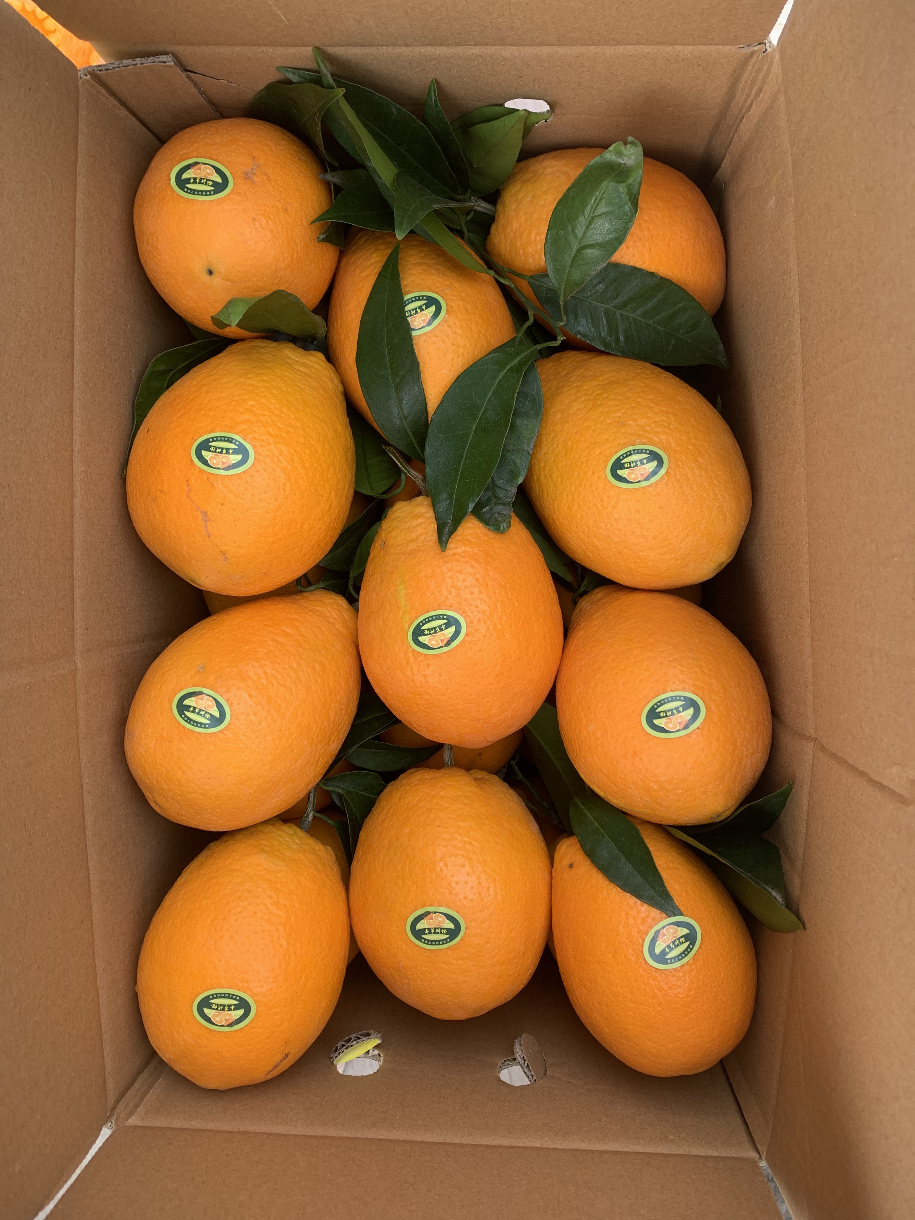 奉节脐橙，大果，送礼，精品包装，