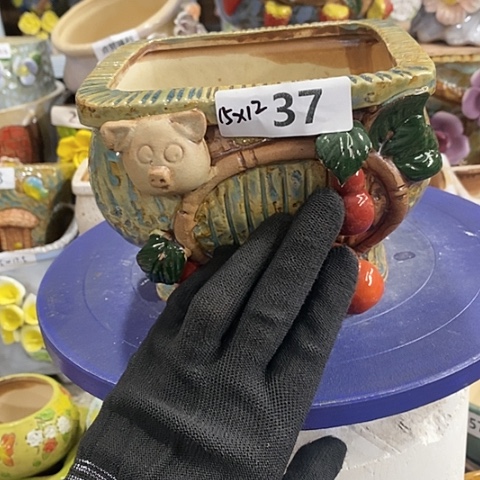 【闪购商品】红陶1