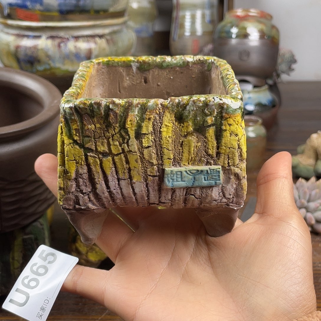 默认微次 元旦福利 坛子姐花盆