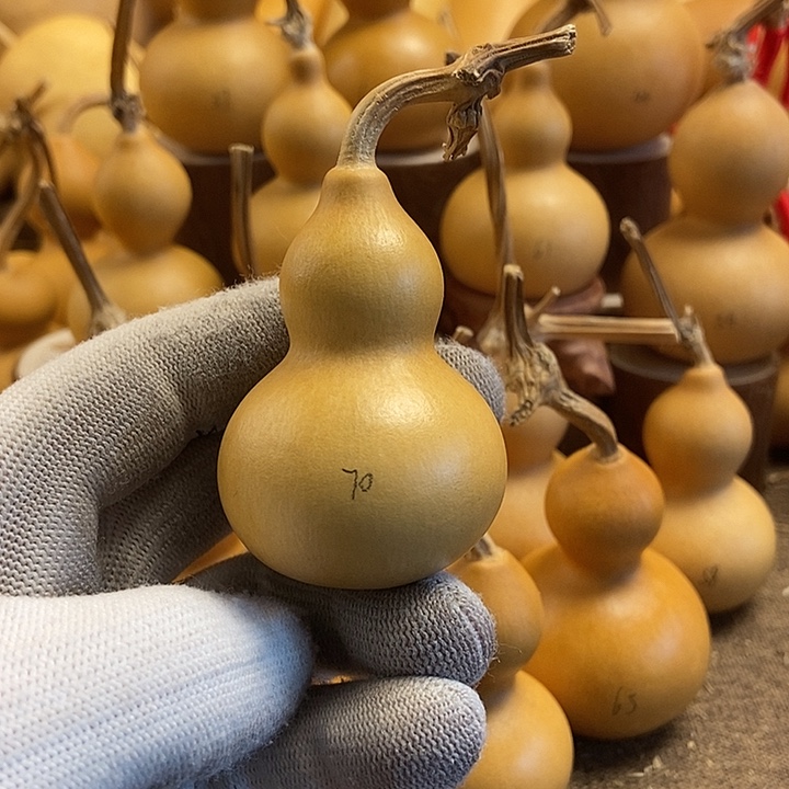 文玩葫芦 完美主义者 慎拍70