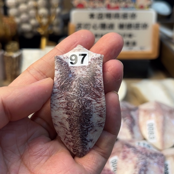 养殖梅花鹿三界牌97