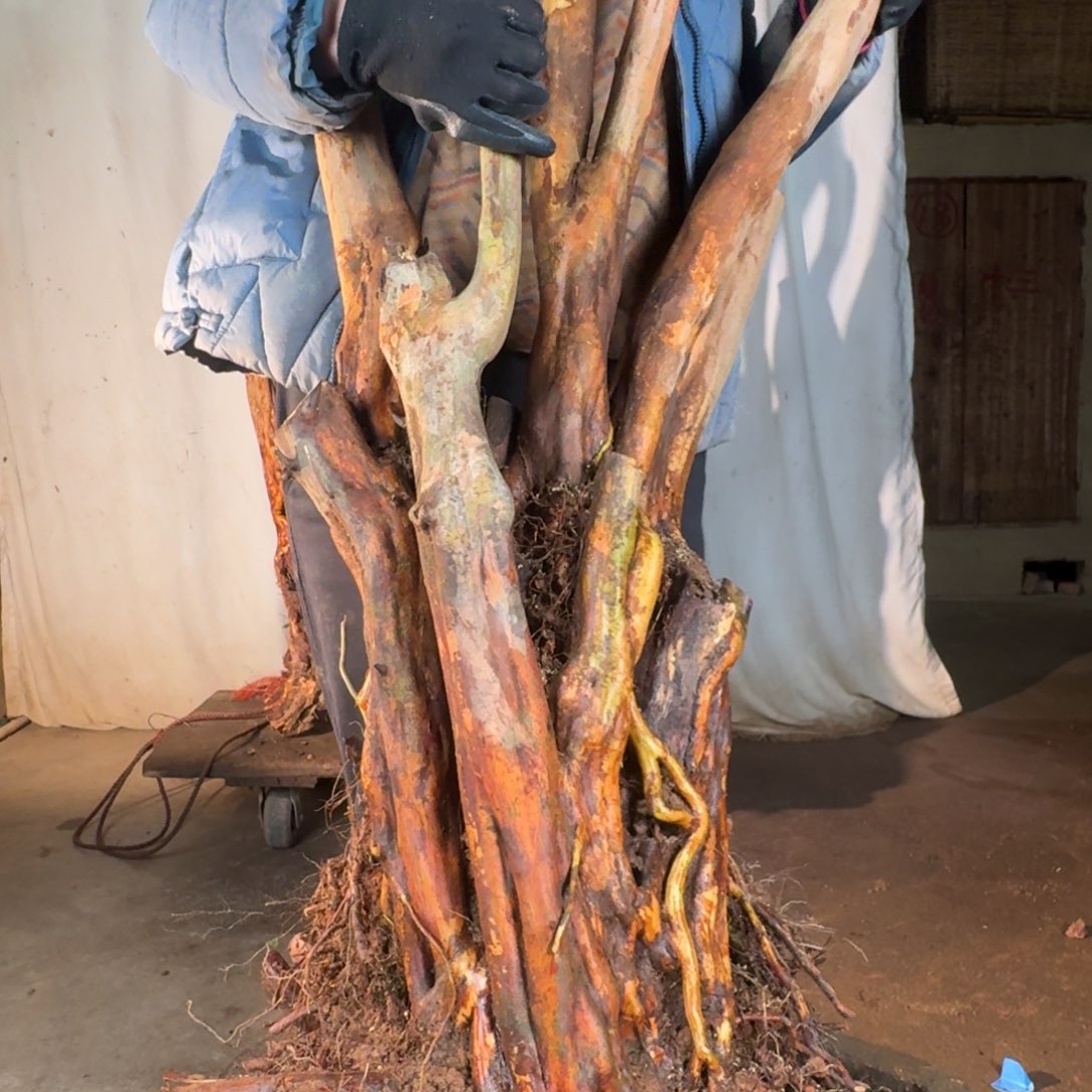 ℋ***࿐777777777777777777