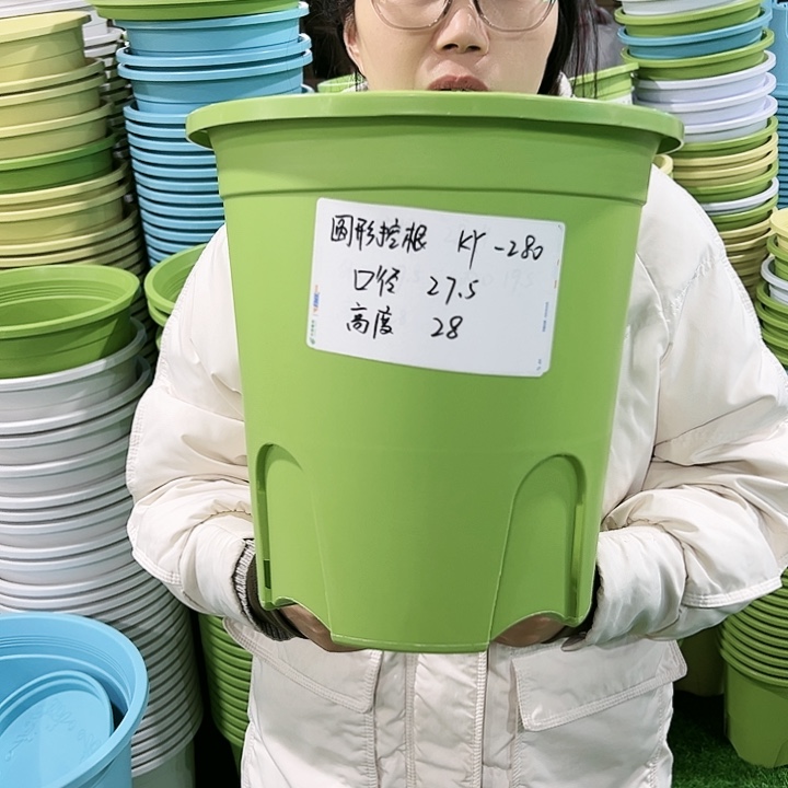 正品圆控口27高28白色无托5只