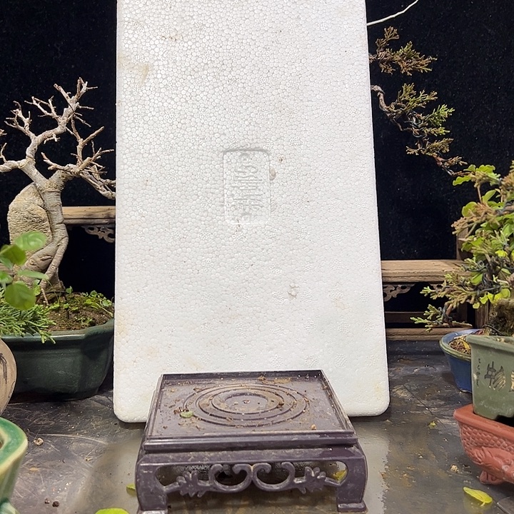 0***0发发发发发发发发发