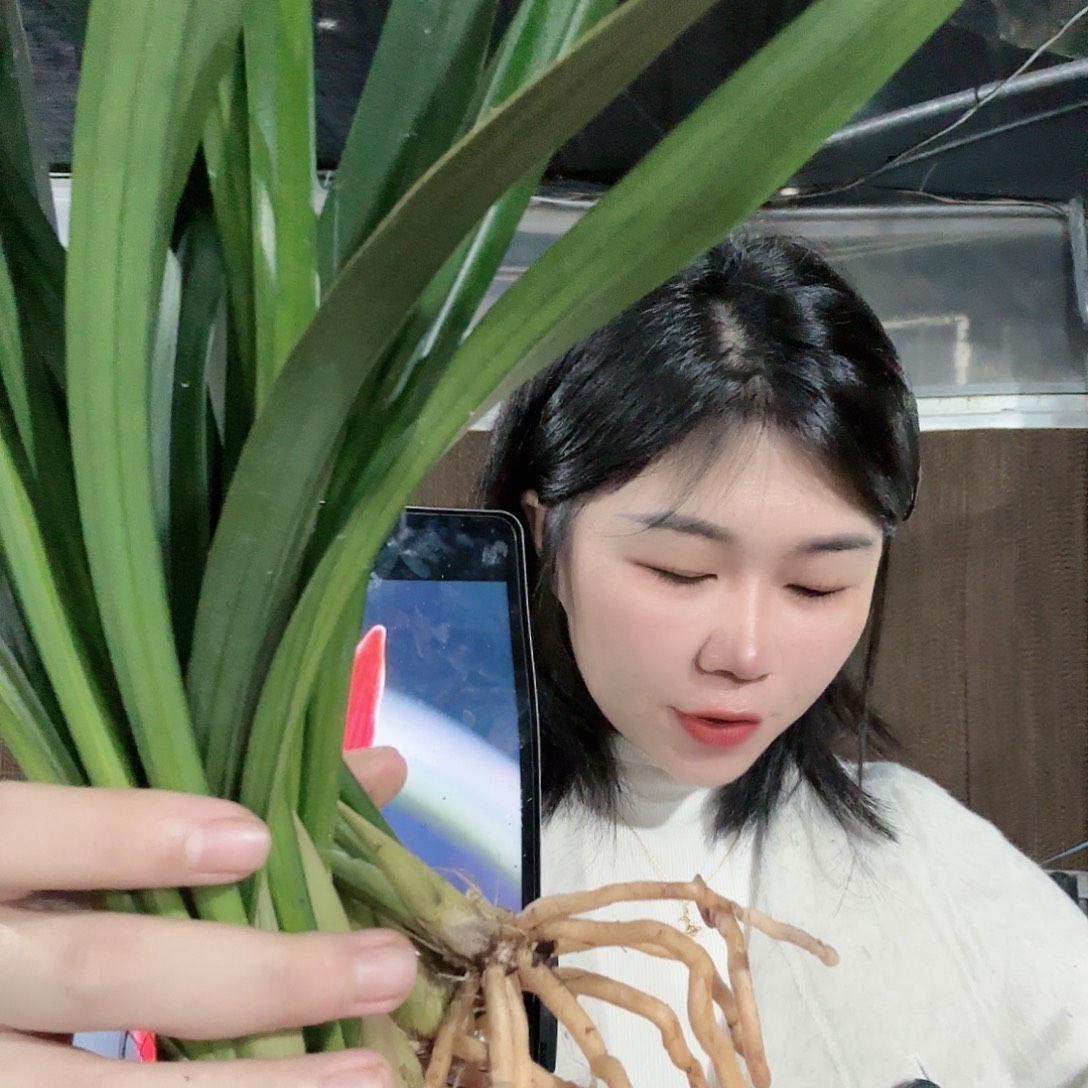 完全开放333333333