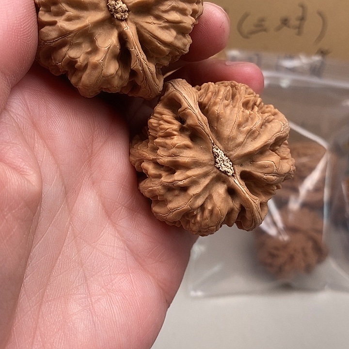 9***圈木质类128.128.128