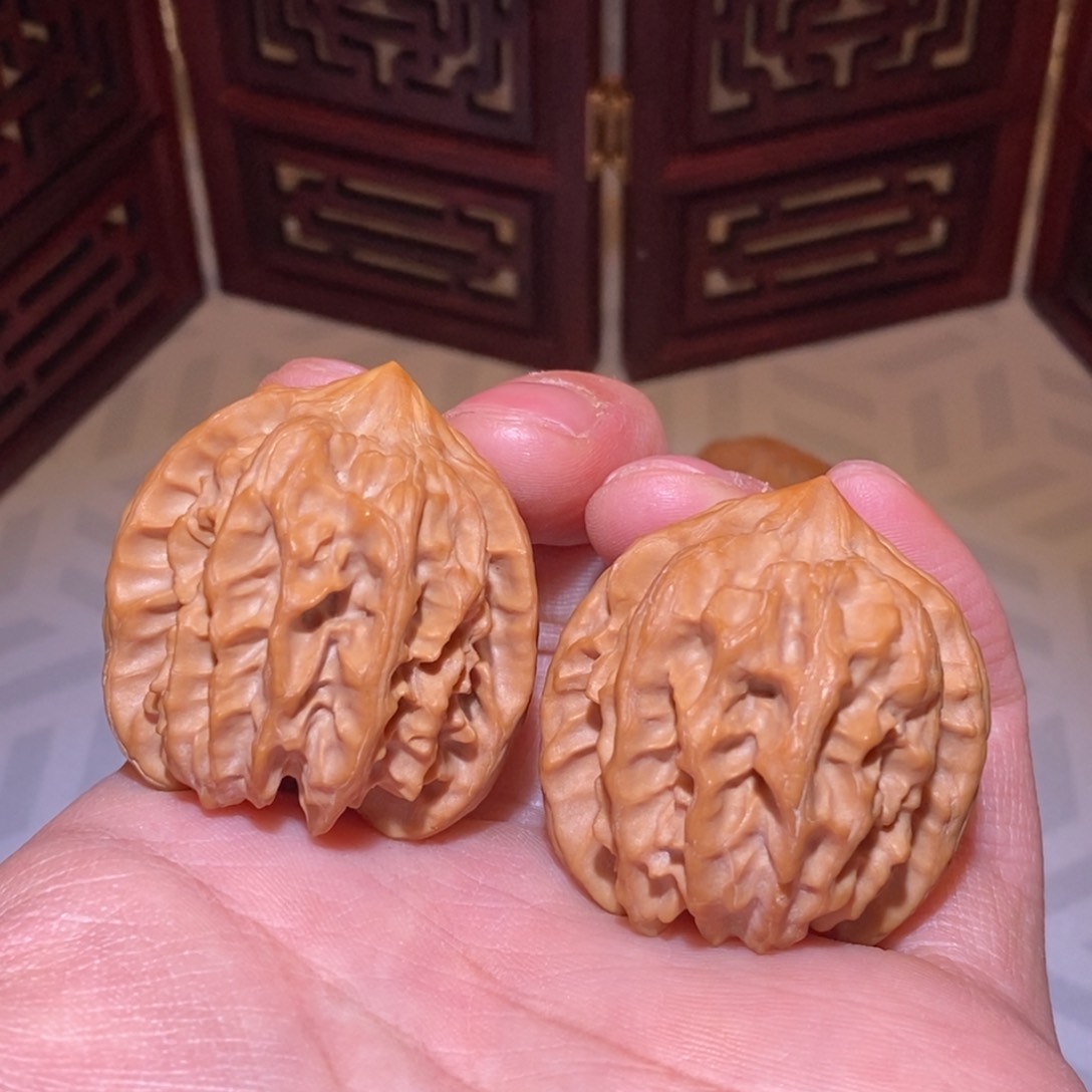 36尺 曹大龙 精配对 推荐