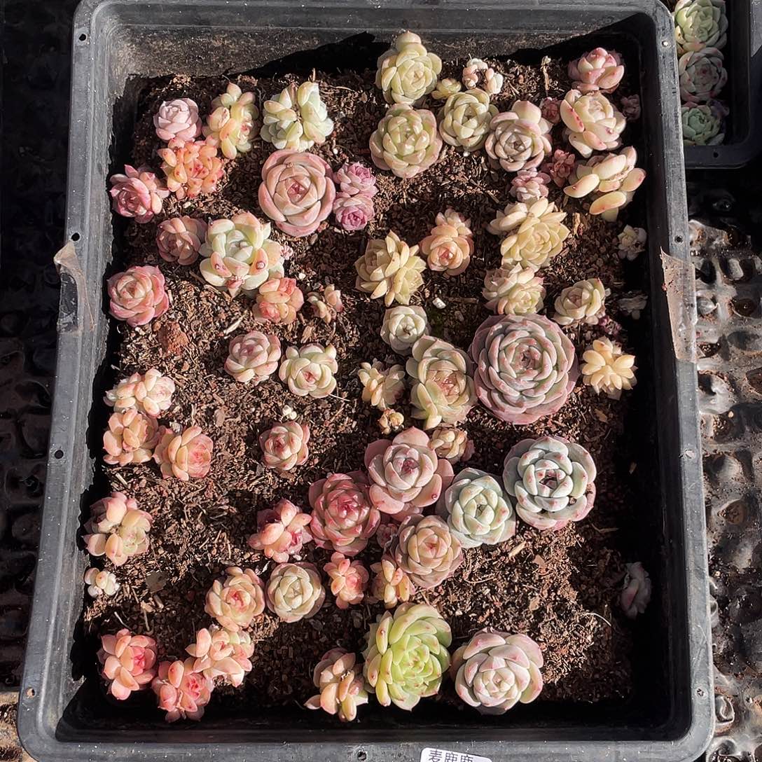 人***途057。 定。               