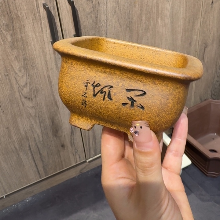 脑***空花盆紫砂福利待遇