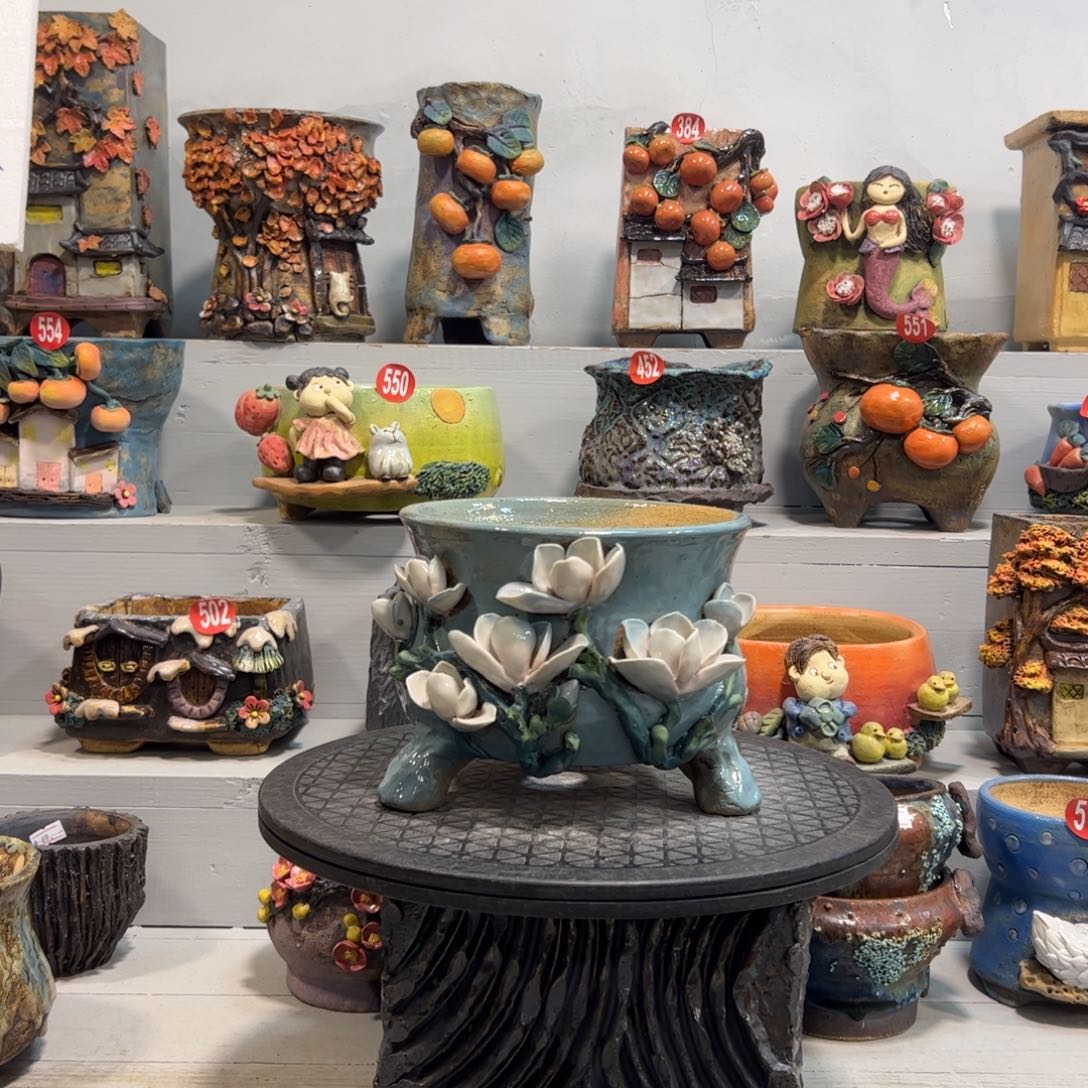 福利4 号双十二，85折