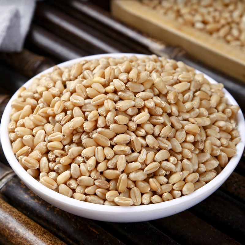 [开心精选] 淮 小麦