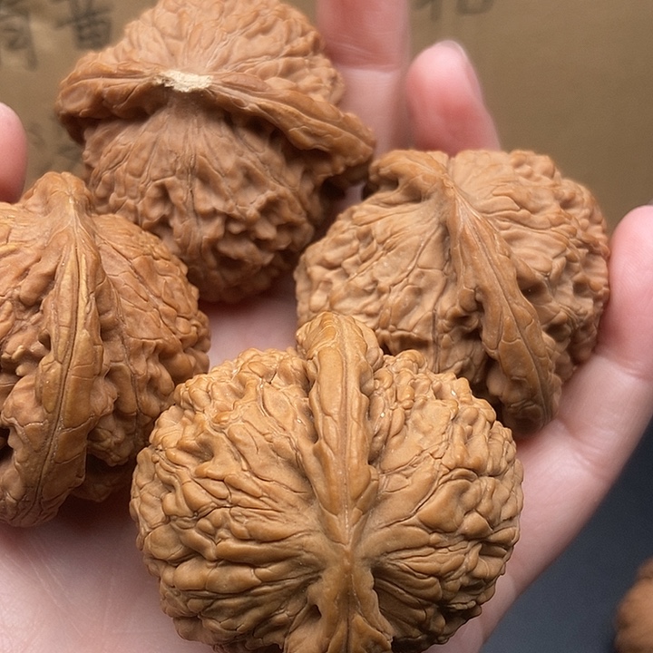 膜***构大大大大水龙有黄，2对
