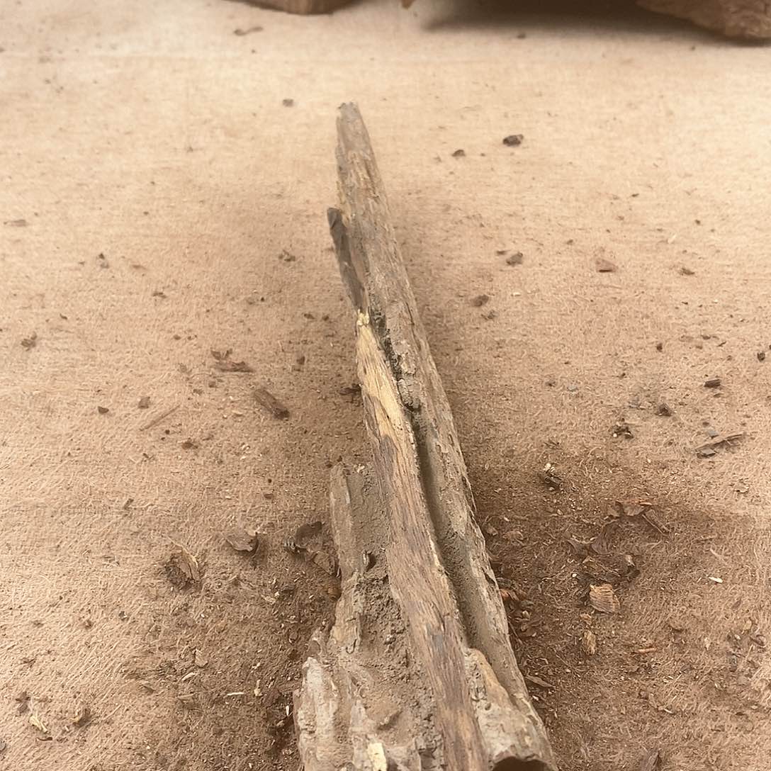 木高*东黄花梨随形料子