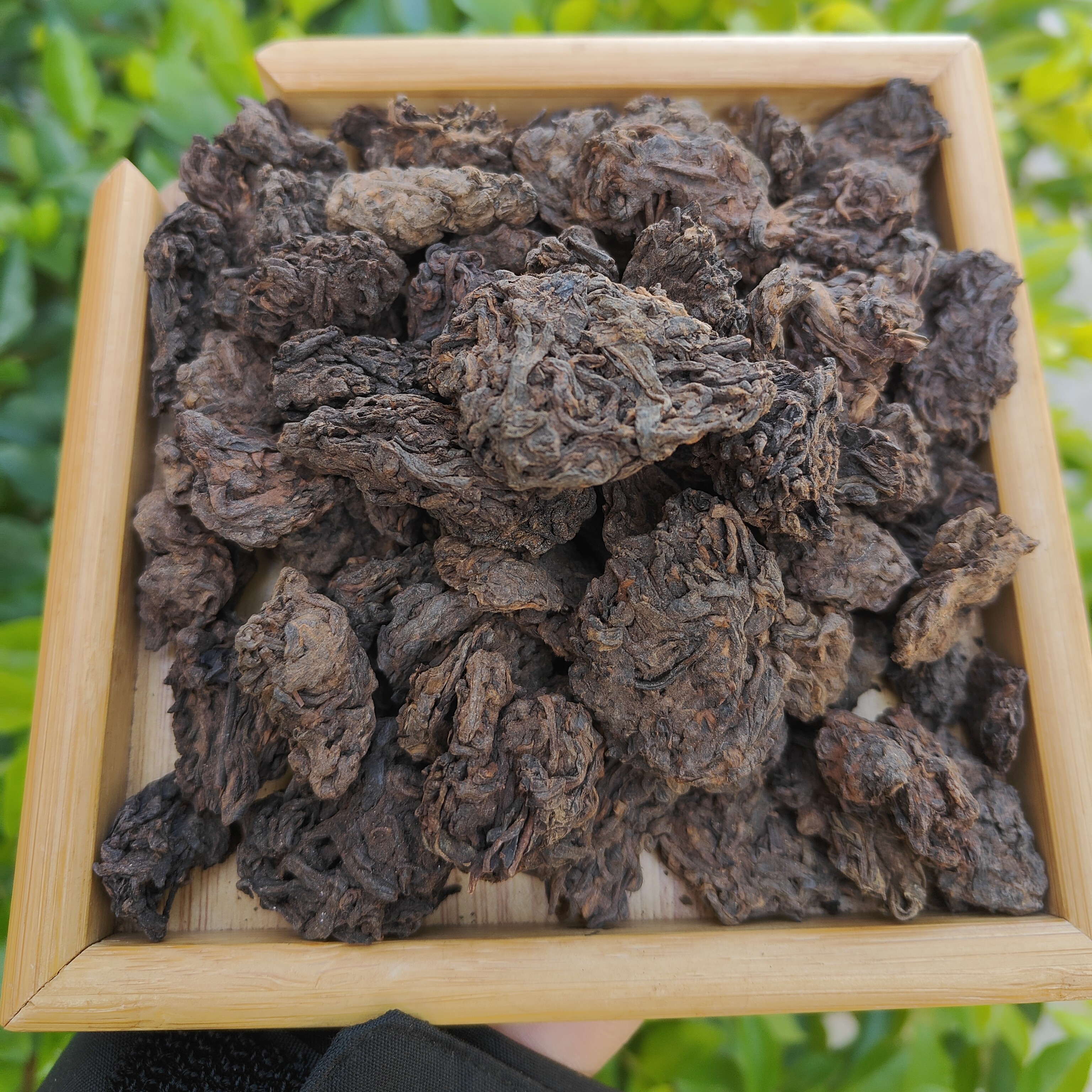 老茶头布朗山2015年（甜润丝滑枣香）