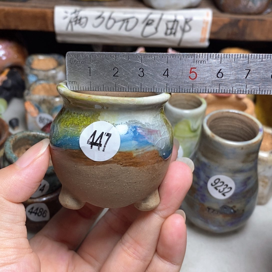 拍5送一个小礼物