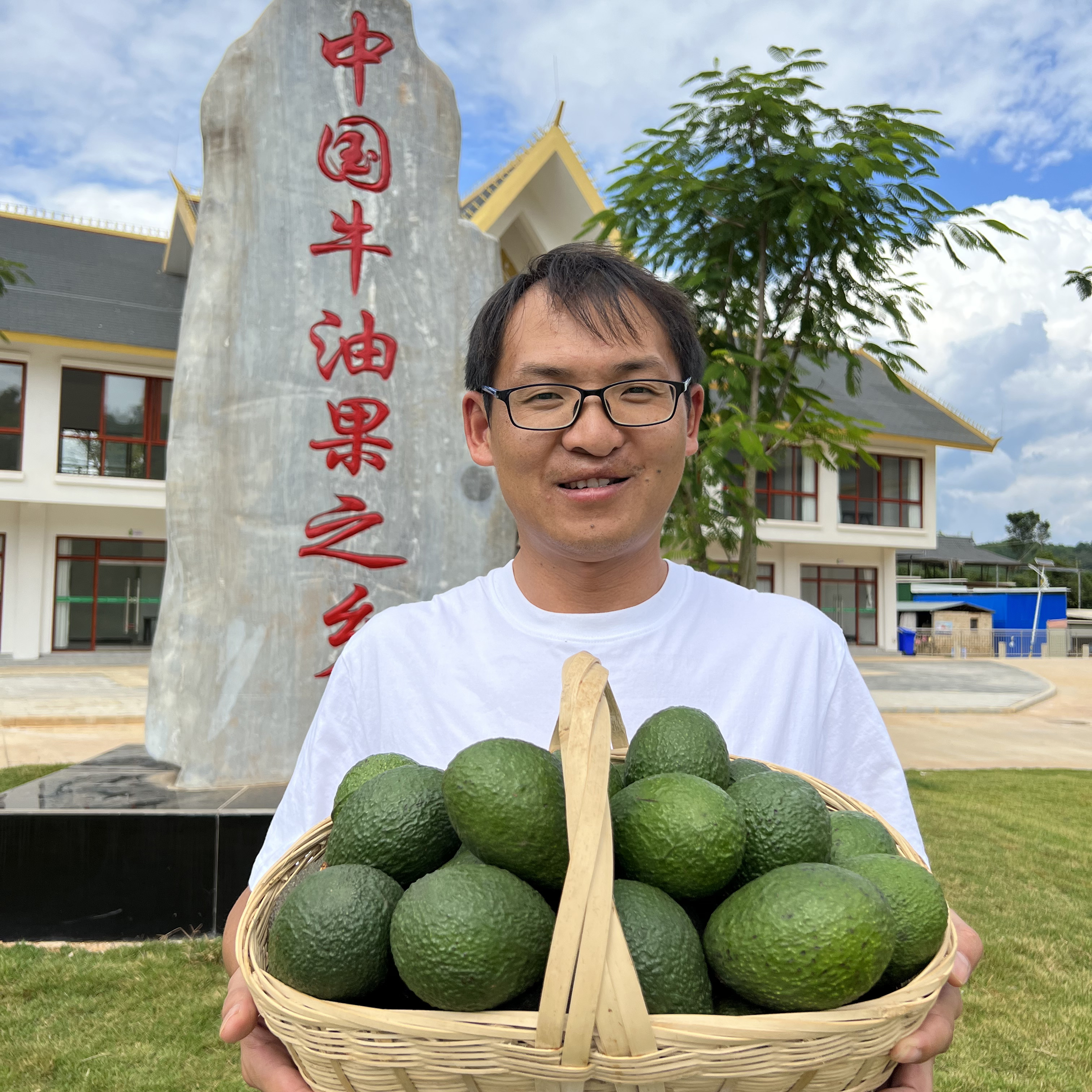 【哈斯牛油果】云南牛油果哈斯牛油果当季新鲜水果身材管理辅食代餐