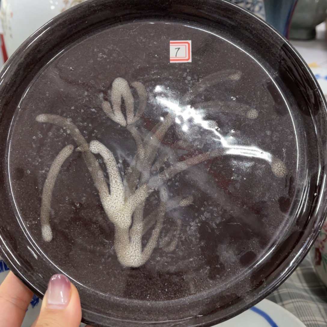 陶日用家用陶瓷制品