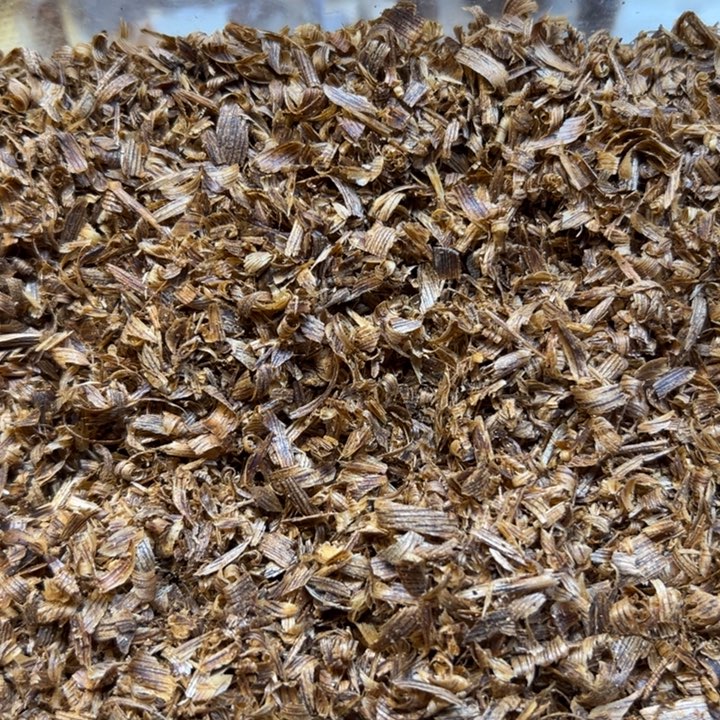 沉香碎屑沉香陆河白棋小切片50g