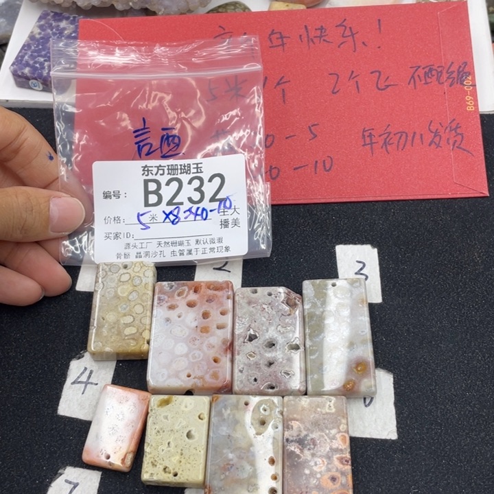 硅化珊瑚（珊瑚玉）颈饰合金言**西