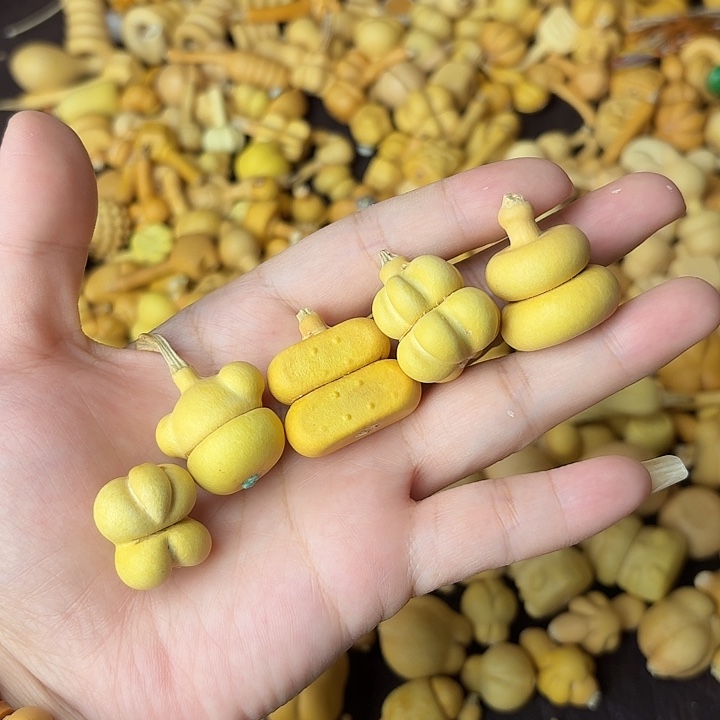 *****葫芦笙是最可爱滴小孩啦呜呜