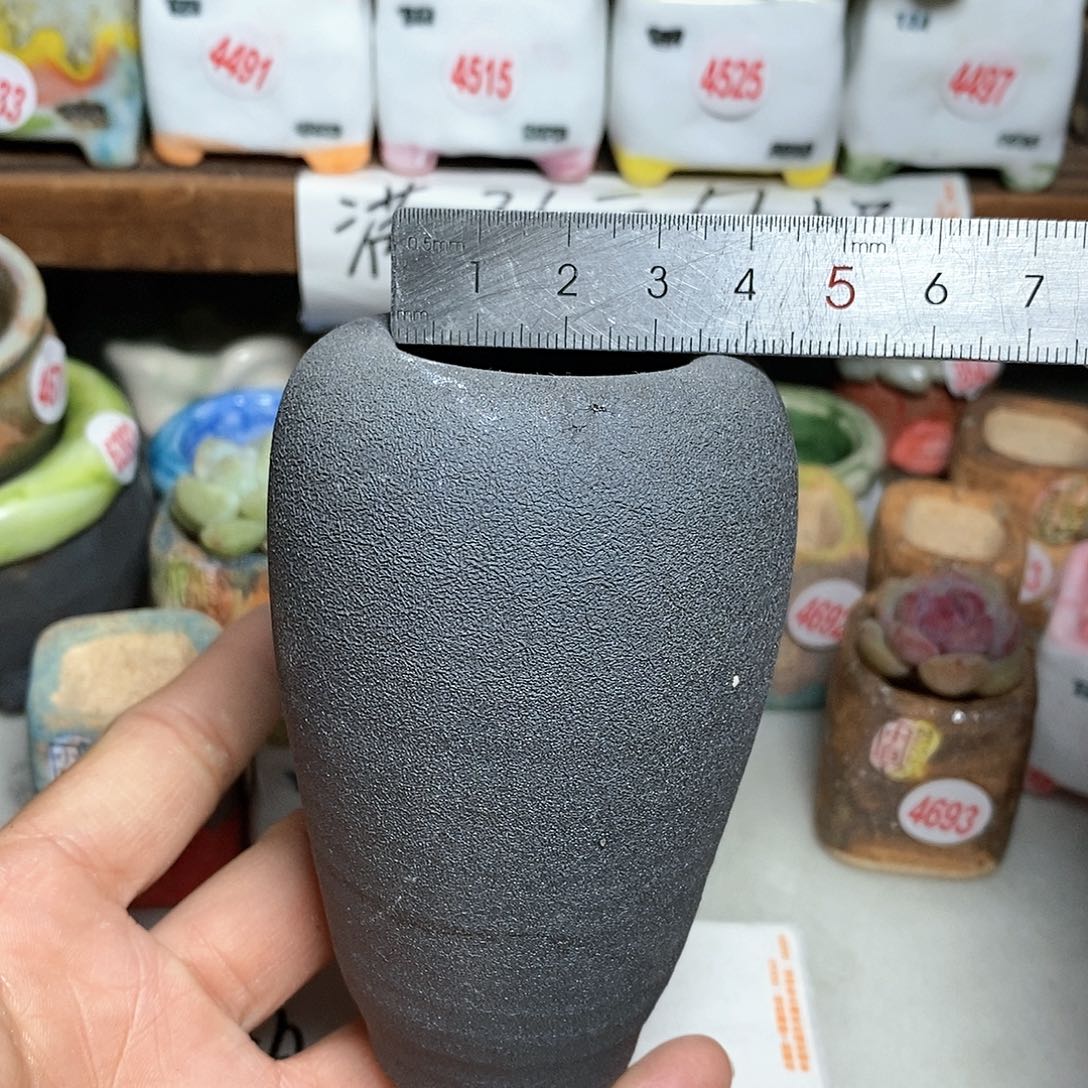 红陶拍5送一个小